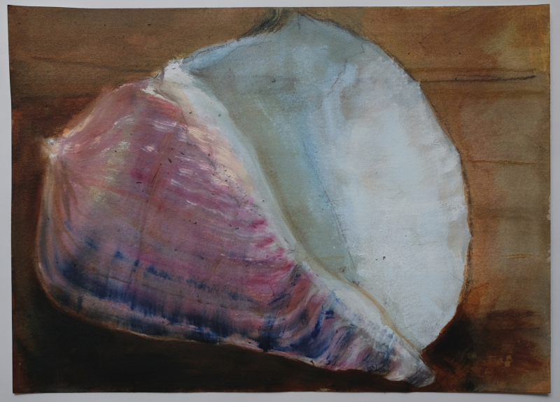 Muschel (Redon), 2020, Buntstift und Aquarell auf Papier, 30 x 40 cm